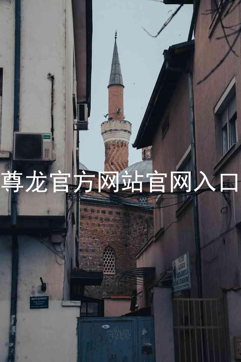 尊龙官方网站官网入口