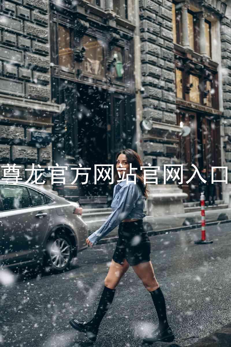 尊龙官方网站官网入口