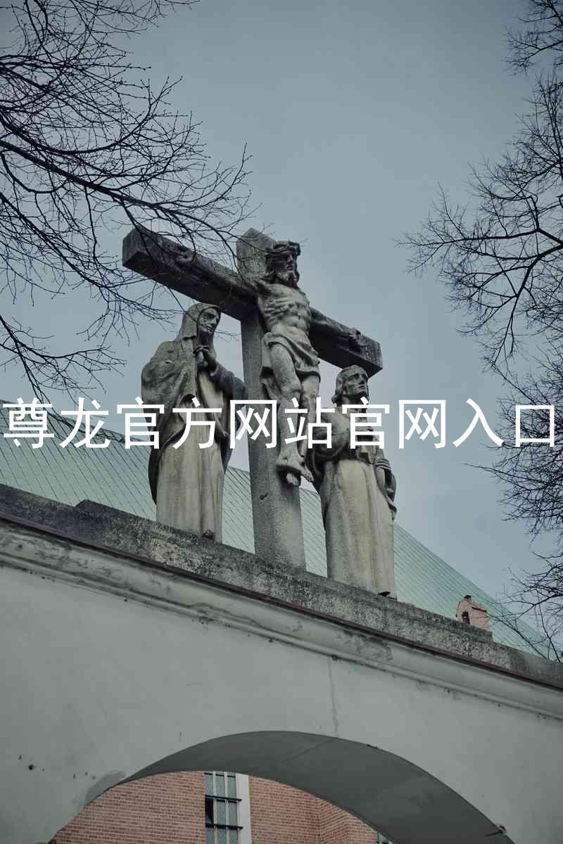 尊龙官方网站官网入口