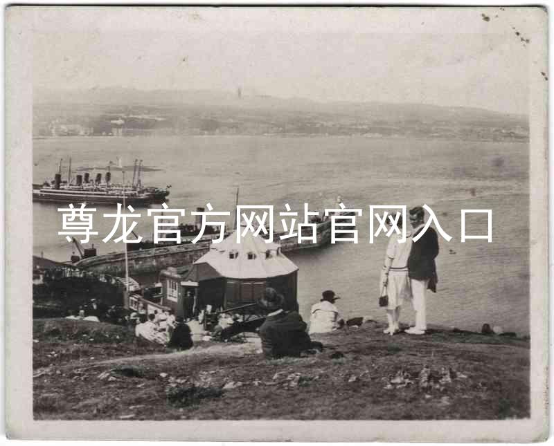 尊龙官方网站官网入口